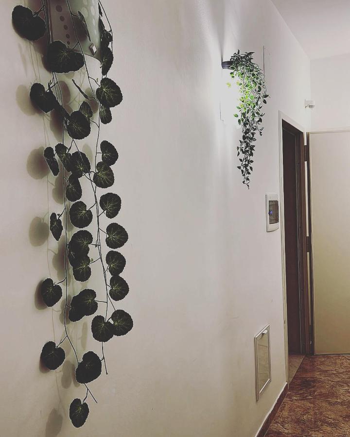 Esperanto B&B Бари Екстериор снимка